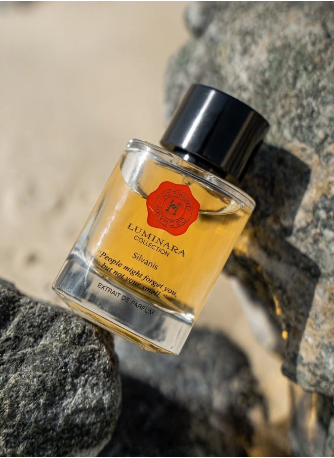 Hermoso - نجاتي لومينارا سيلفانيس اكستريت دي بارفان 100 مل | عطر فاخر للجنسين برائحة الأخشاب والمسك - Image 1