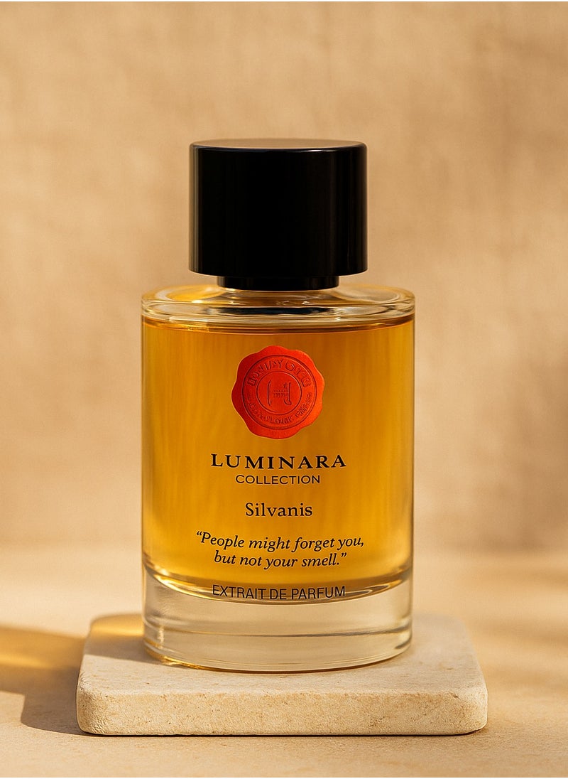 Hermoso - نجاتي لومينارا سيلفانيس اكستريت دي بارفان 100 مل | عطر فاخر للجنسين برائحة الأخشاب والمسك - Image 1