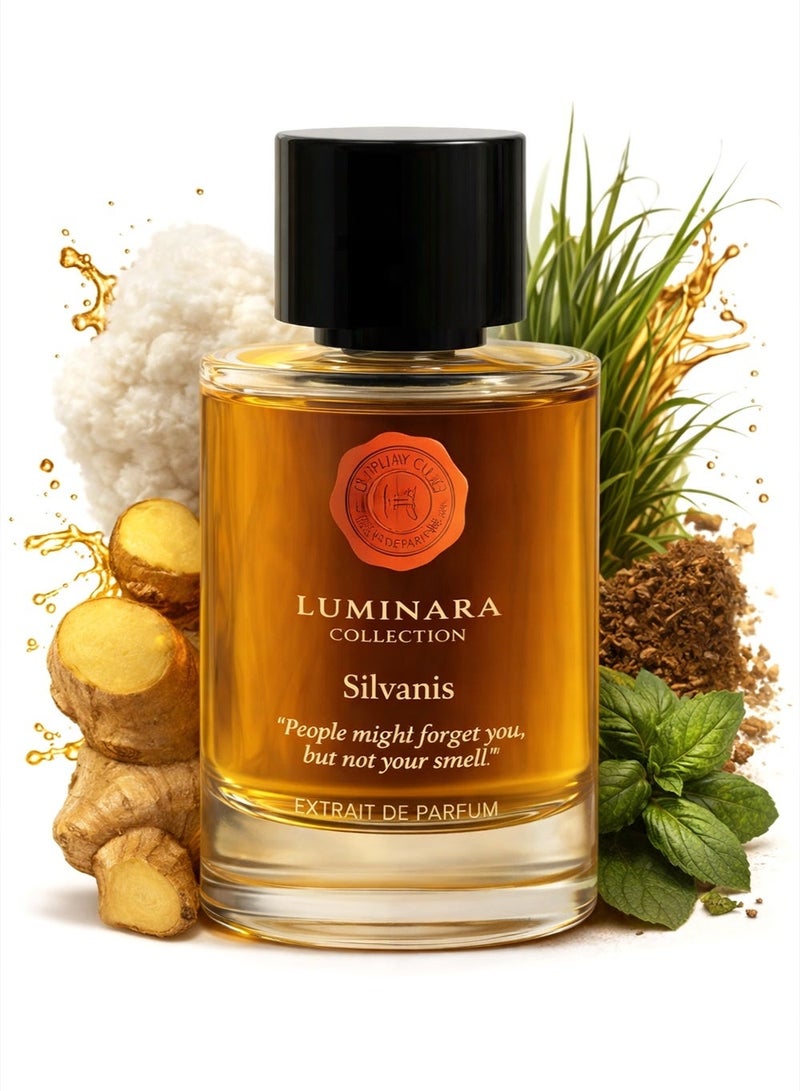 Hermoso Luminara Silvanis by Hermoso Extrait de Parfum Premium Unisex Perfume Woody Musk Long Lasting Fragrance 100ml - Image 1