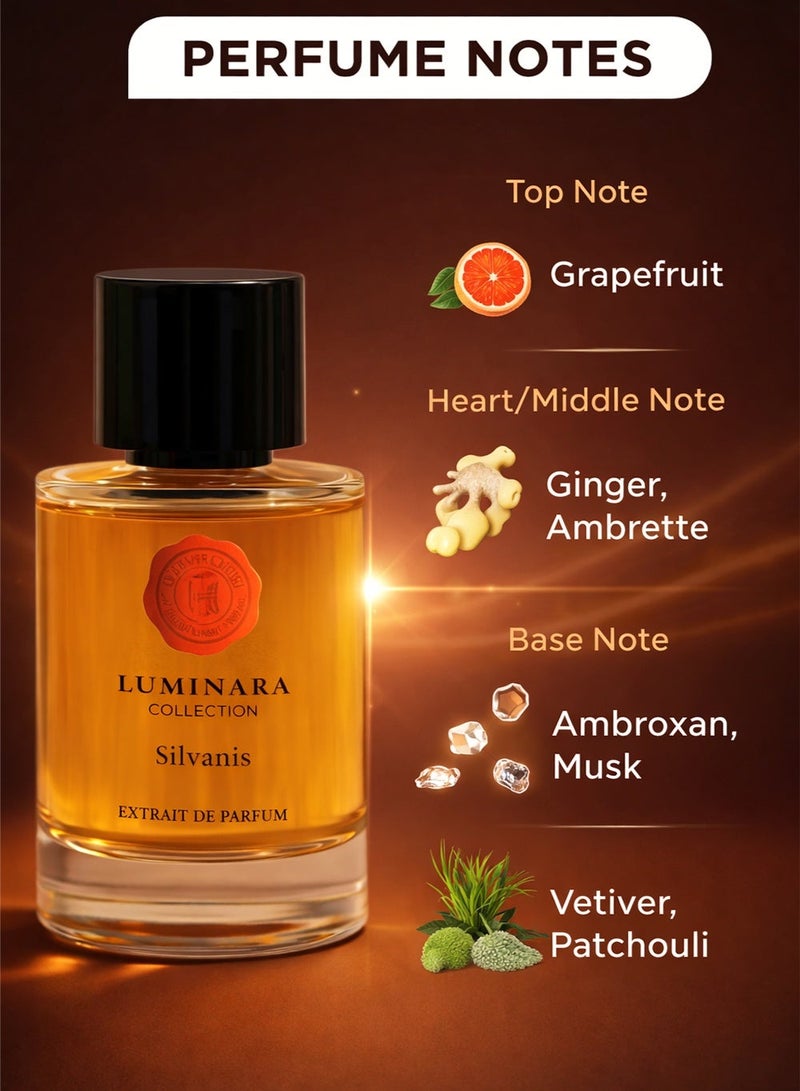 Hermoso Luminara Silvanis by Hermoso Extrait de Parfum Premium Unisex Perfume Woody Musk Long Lasting Fragrance 100ml - Image 2