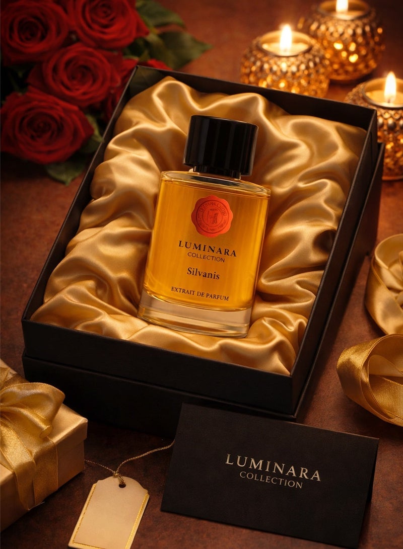 Hermoso Luminara Silvanis by Hermoso Extrait de Parfum Premium Unisex Perfume Woody Musk Long Lasting Fragrance 100ml - Image 4