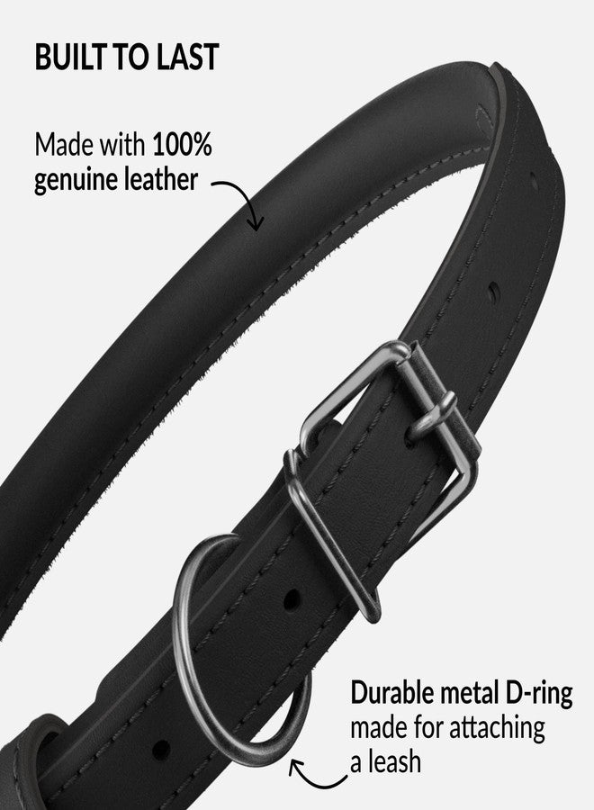CollarDirect Rolled Leather Dog Collar, Padded, 6 in, Black Smooth - Image 3