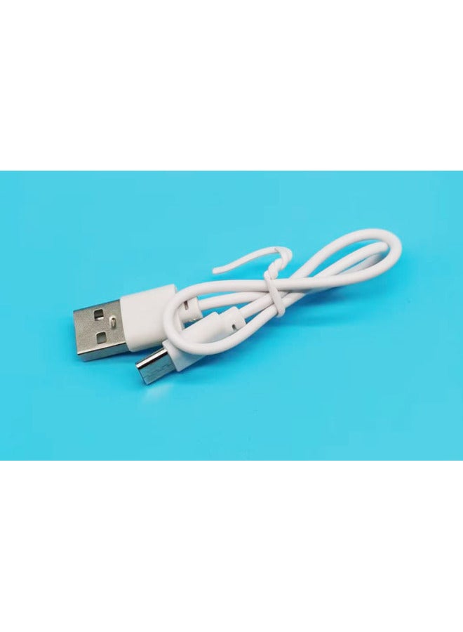 National Standard Copper Type-c Charging Line Small Electrical Appliances Bluetooth Headset Small Lighting Data Line 0.3 Meters Short Line With The Machine Line-Color:National Standard Copper Type-c White—30cm  - Image 1