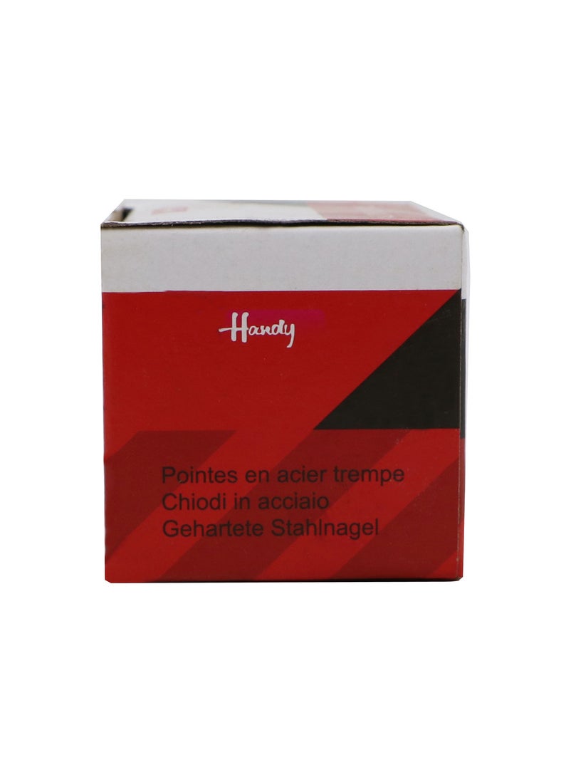 Handy 40 Packets Steel Nails Black