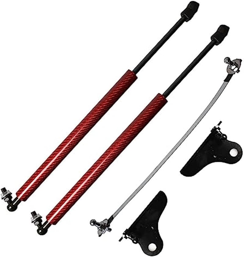 DEMULAX Carbon Fiber Hood Lift Kit for Nissan Juke - Image 1