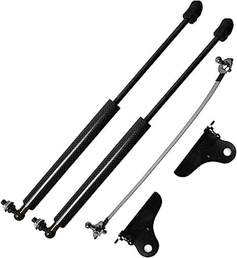 DEMULAX Carbon Fiber Hood Lift Kit for Nissan Juke - Image 4