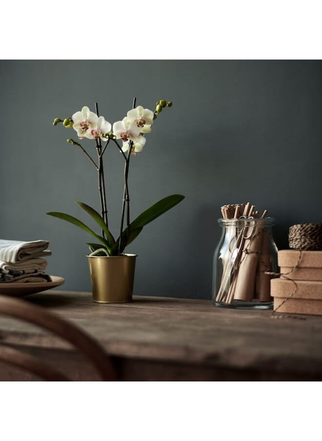 Plant pot brass-colour 9 cm