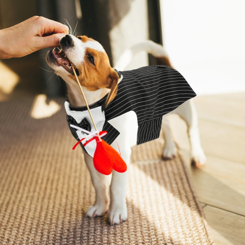 1 Set of Decorative Dog Scarf Delicate Dog Suit Wear-resistant Dog Tuxedo Dog Accessory - Image 2