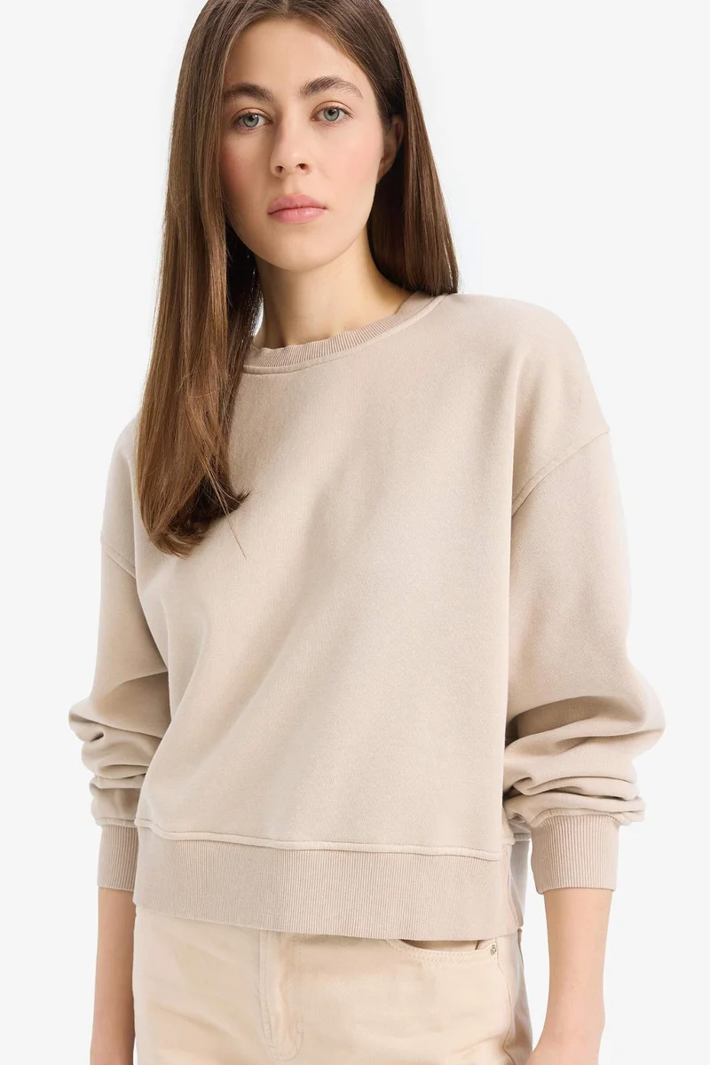 ديفاكتو Boxy Fit Crew Neck Basic Thick Sweatshirt