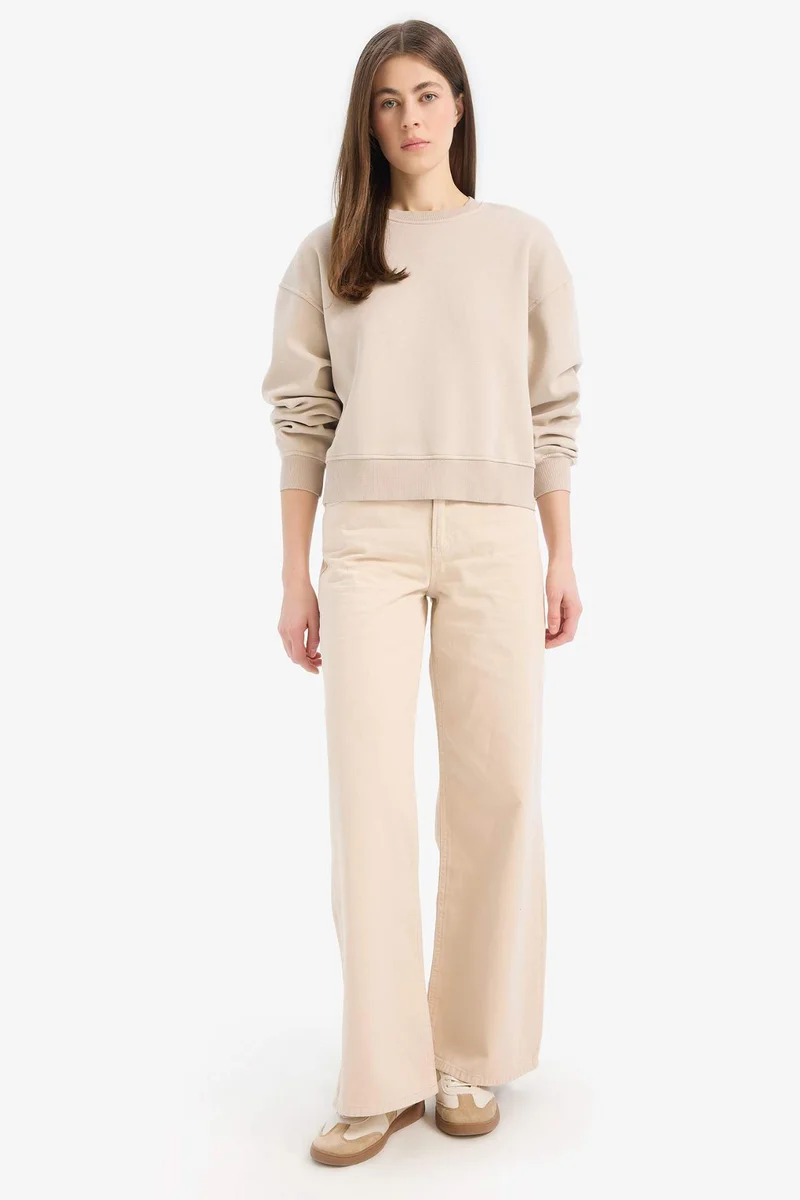 ديفاكتو Boxy Fit Crew Neck Basic Thick Sweatshirt