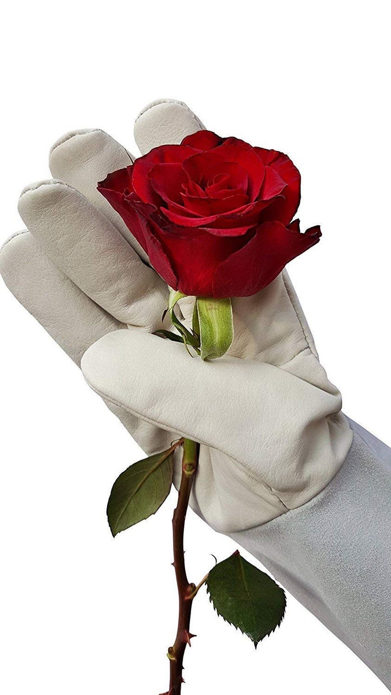Jupiter Industries Leather Rose Gardening Gloves (Small ). - Image 3