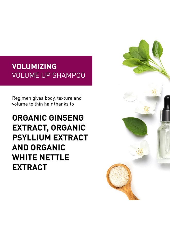 Insight Clean Beauty Volume Up Shampoo for Softer Hair Organic Ginseng Extract, Vegan, 13.5 fl oz - Image 3