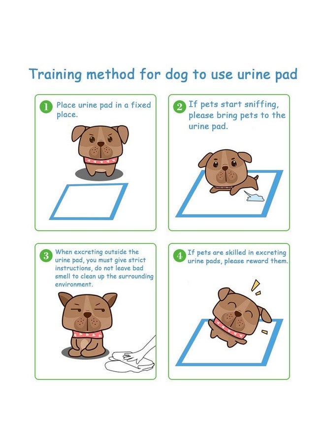 DONO Training Pads for Dogs Pets Comfortable and Secure 100 PCS Small 33*45CM - Image 5