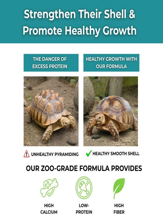 Tortoise Resource Center Baby Sulcata Food Powder with Calcium - Scientifically Formulated Diet for Healthy Growth - High Fiber Low Protein with Probiotics | 2.5 oz Bag | 2 Week Supply - Image 5
