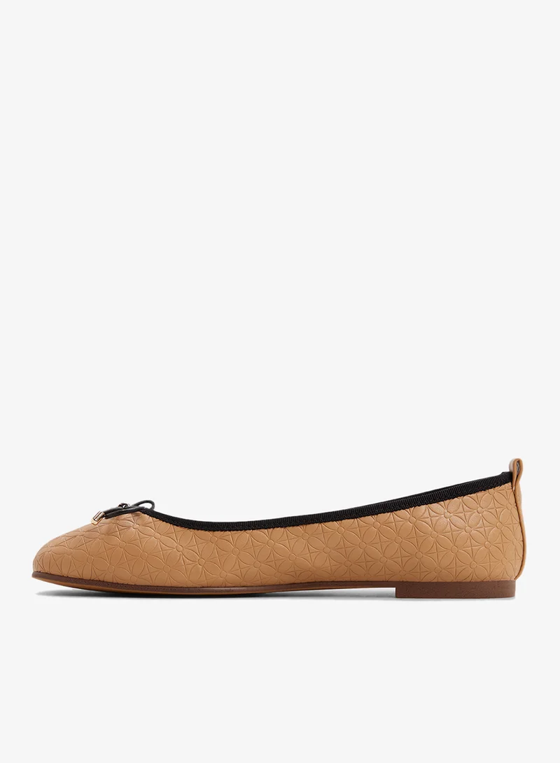 ALDO Taylynn Pointed Toe Ballerinas