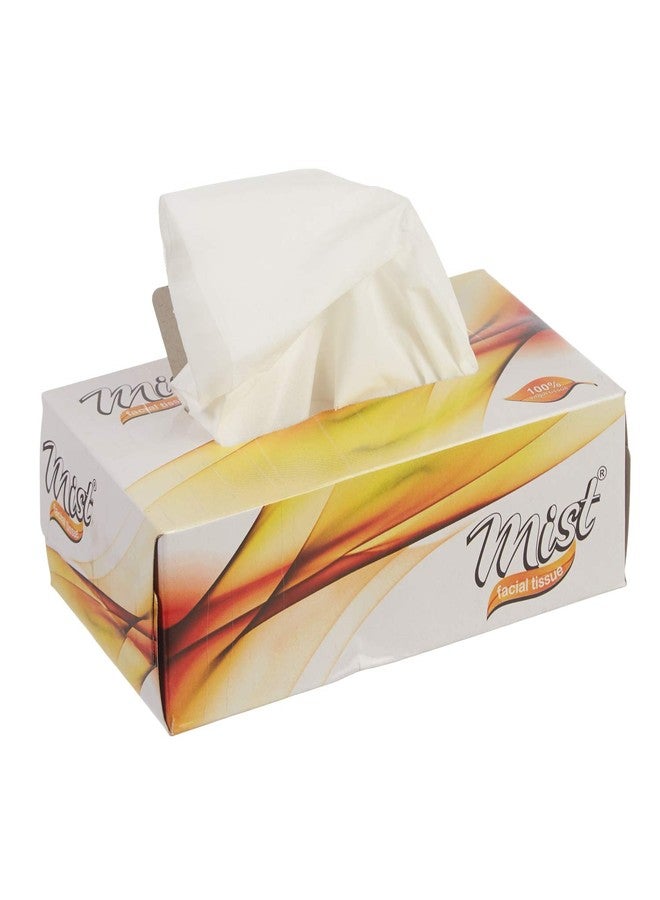 MDN Mist Ultra Soft White 2 Ply Facial Tissue Paper Napkin for Office Home Disposable Face Tissue (100 Pulls Each, Pack of 4) - Image 2