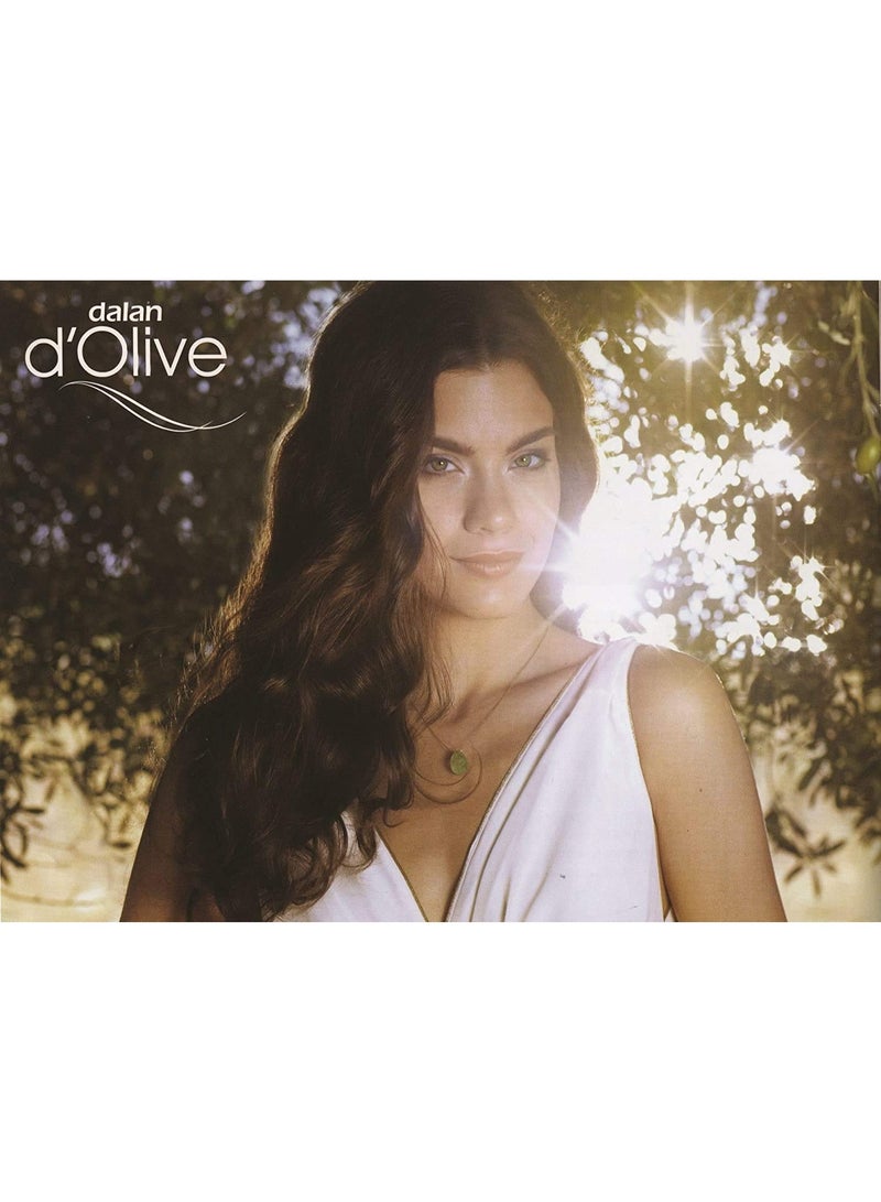 دالان شامبو مرطب دي أوليف لإصلاح الشعر والعناية به - Image 4