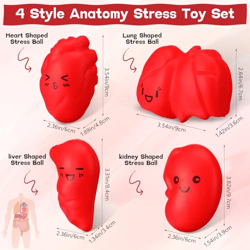 Arrowbash 40 Pcs Stress Balls Bulk Nurse Thank You Relief Stress Ball Nursing Assistants Nurse Appreciation Week Gifts Adult Medical Work Team Graduation Gifts Adorable Style - Image 5