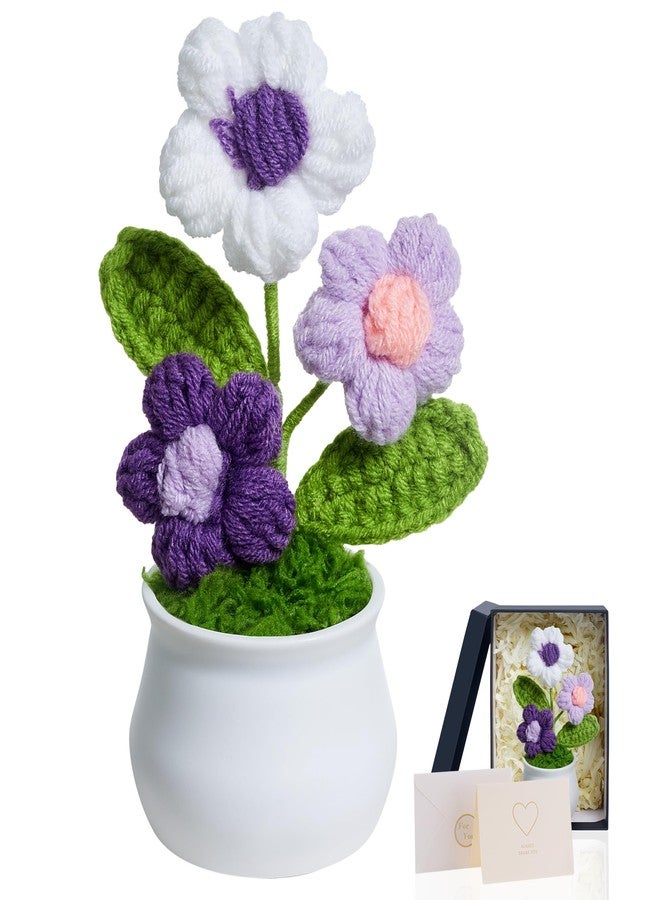 LAIDANLA Purple Crochet Puff Flowers Potted Plants, Small Handmade Crochet Flower Graduation Appreciation Birthday Gifts for Women Teacher Mom Coworker Friend Knitted Flower for Desk - Image 1