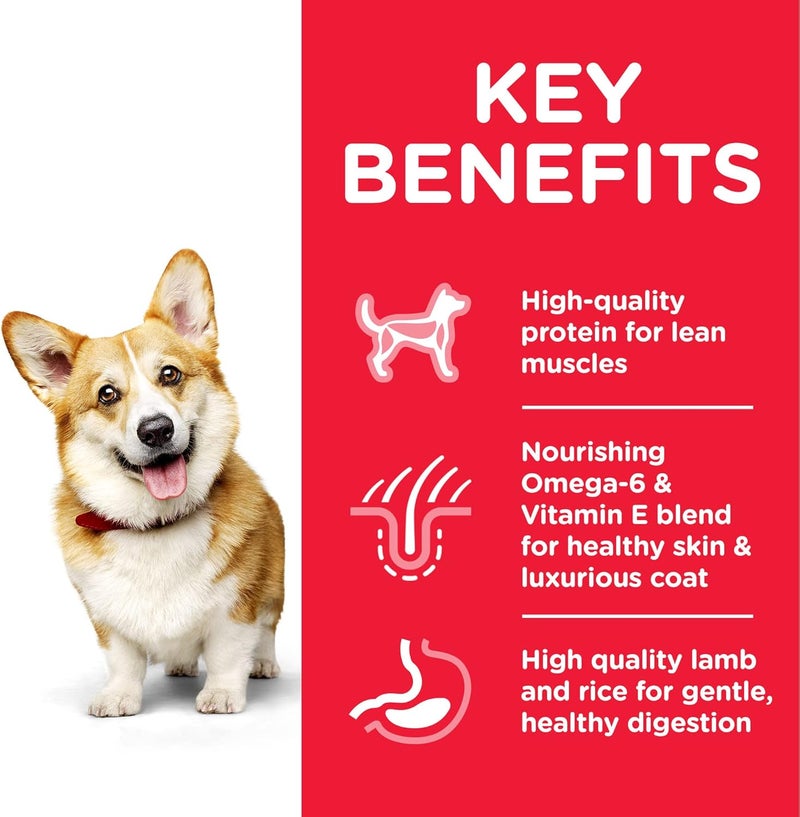 Hill's Science Plan Small & Mini Adult Dog Food with Chicken - 10kg - Image 3