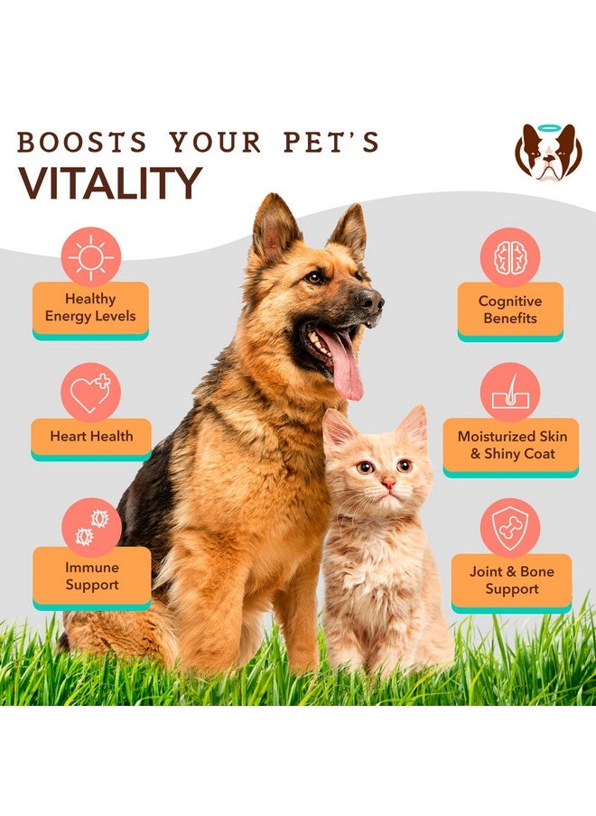  شركة Natural Dog - زيت السلمون البري الألاسكي النقي للكلاب (16 أونصة) مكمل غذائي لجلد وفراء الكلاب، زيت للكلاب للطعام مع الأحماض الدهنية الأساسية، مضخة زيت السمك للكلاب، زيت السمك أوميجا 3 للكلاب - Image 1