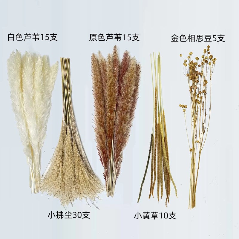 Bluejw G54 NWhite Pampas Grass Decor - Large Fluffy Dried Pampas Bundle, Real Natural Wild Pampas Plumes for Wedding Christmas Ornaments, Luxury Home Decor, Dried Plants Included - Image 1