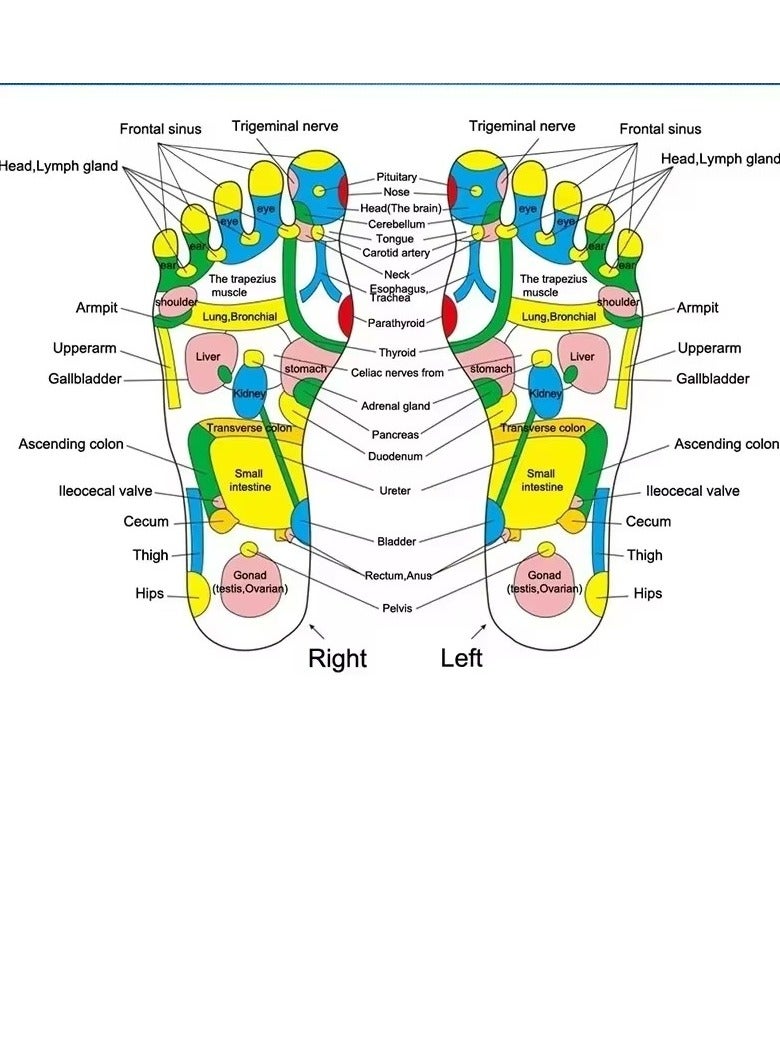 Loquat Imitation Pebble Foot Pad Massage Foot Massage Patch to Promote Blood Circulation Professional Physiotherapy Tool - Image 4