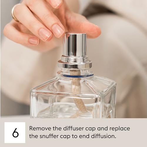 Maison Berger نيو أورليانز - عبوة إعادة تعبئة عطر لامب بيرجر لموزع العطور المنزلية - 33.8 أونصة سائلة - 1 لتر - Image 3