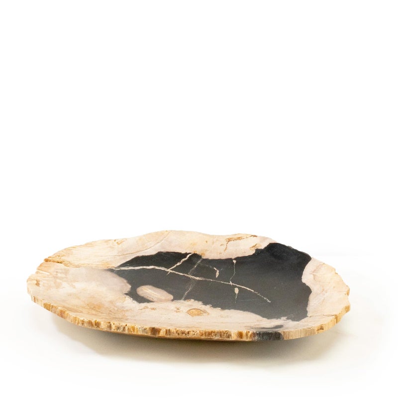 KALIFANO  12 Black Petrified Wood Plate Unearthed and Handcarved in Indonesia Timeless Unique and Elegant Decor Office or Home Decor