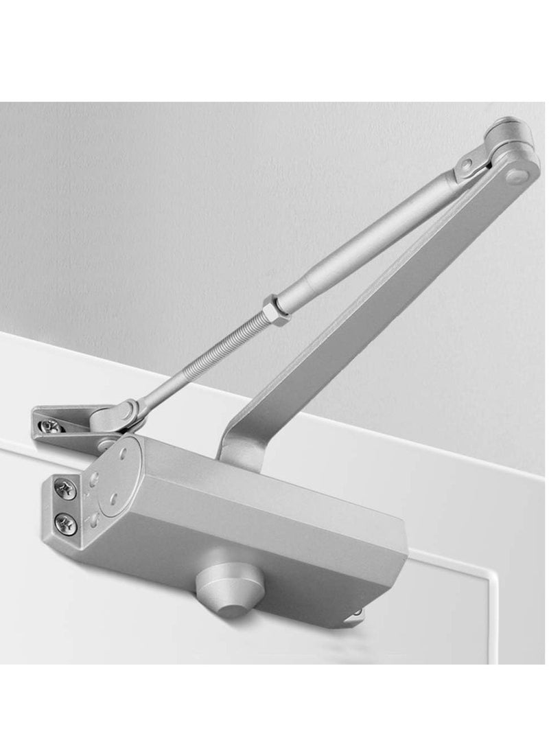 silver door closer - Image 1