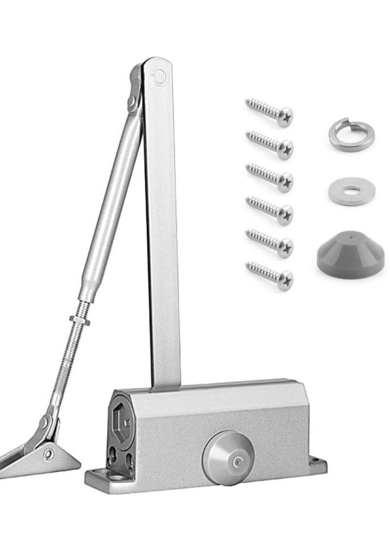 silver door closer - Image 2