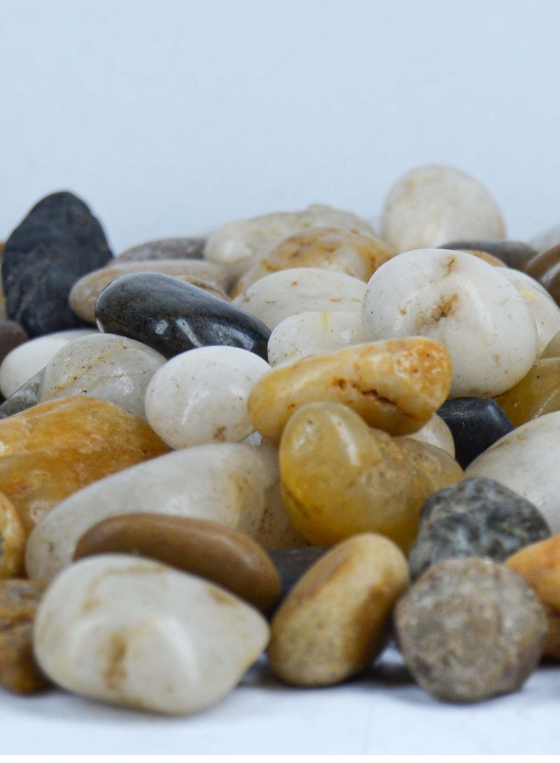 vsell24 10kg of 3-5cm Indian Decorative Stones - Natural Smooth Pebbles for Aquariums, Vases, Terrariums, Lawns, and Garden Landscaping - Image 2