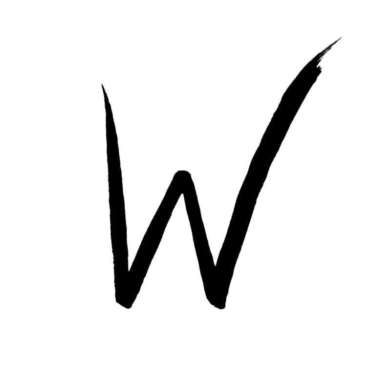 Wycon MICRON TIP WATERPROOF EYELINER BLACK
