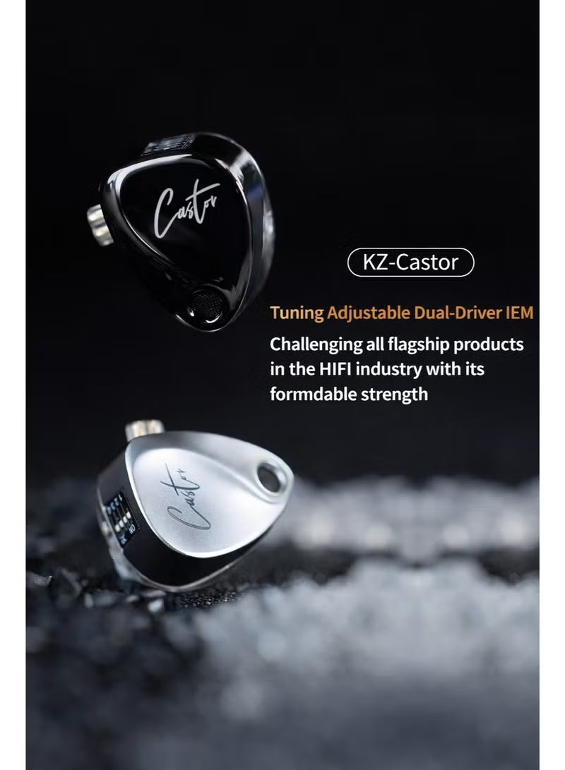KZ Castor Harman Target Version IEM In-Ear Earphones – Dual Dynamic Drivers (10mm + 8mm), Tunable Sound with 4 Adjustment Switches (16 Profiles), Noise Isolating, 3.5mm, 0.75mm 2-Pin, Silver With Mic - Image 2