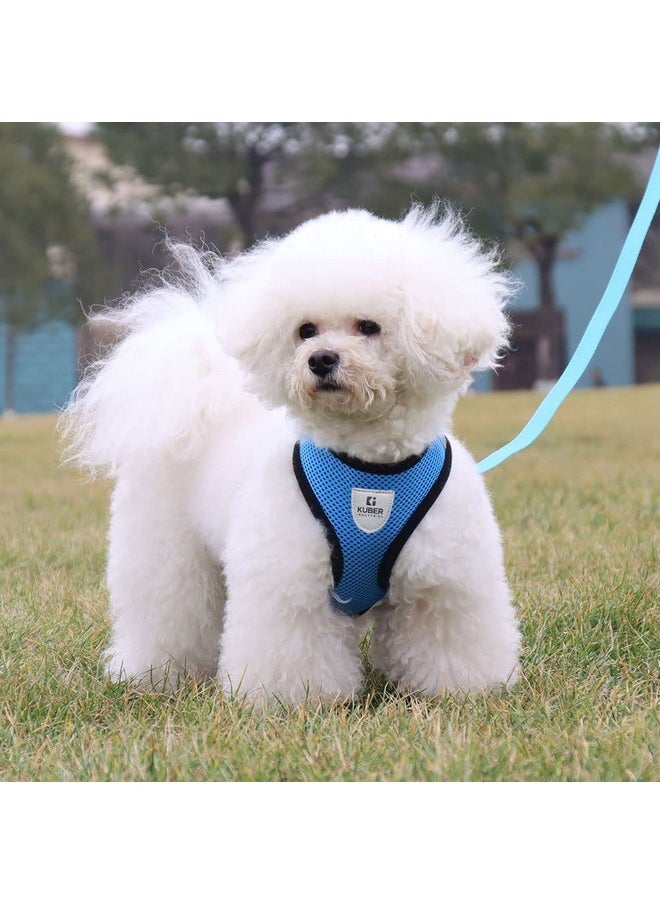 Kuber Industries - Dog Harness With Adjustable Leash|Breathable Polyester Mesh|Large Size|Comfortable No-Pull Grip | Quick Release Buckles | Blue Pet Walking Set | Secure And Stylish Dog Harness - Image 1