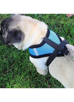 Kuber Industries Dog Harness With Adjustable Leash|Breathable Polyester Mesh|Large Size|Comfortable No-Pull Grip | Quick Release Buckles | Blue Pet Walking Set | Secure And Stylish Dog Harness  - Image 3