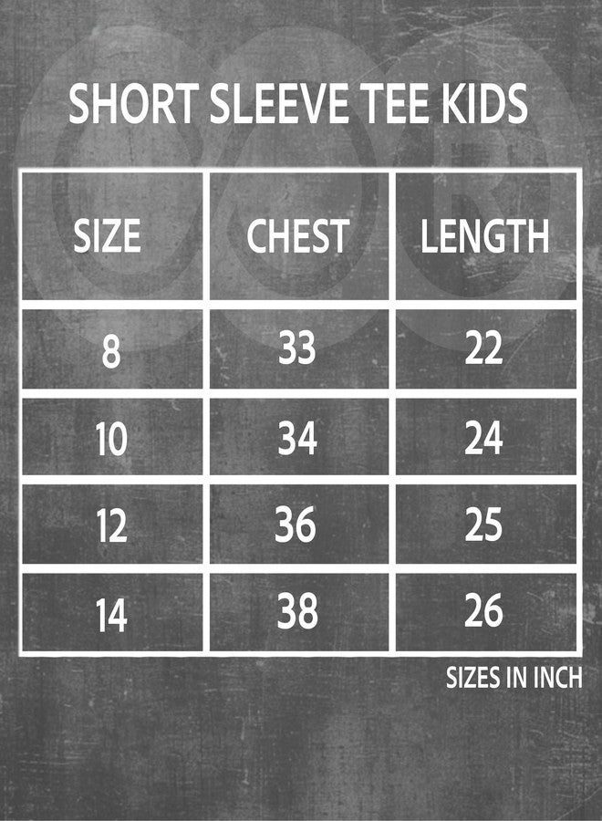 playR x Lucknow Super Giants Original Match Jersey IPL 2026 - Kid's Half Sleeve LSG Cricket T-Shirt, Regular Fit Stylish Sportswear Tee for Training, Outdoor & Match Day Activewear for All Season - Image 4