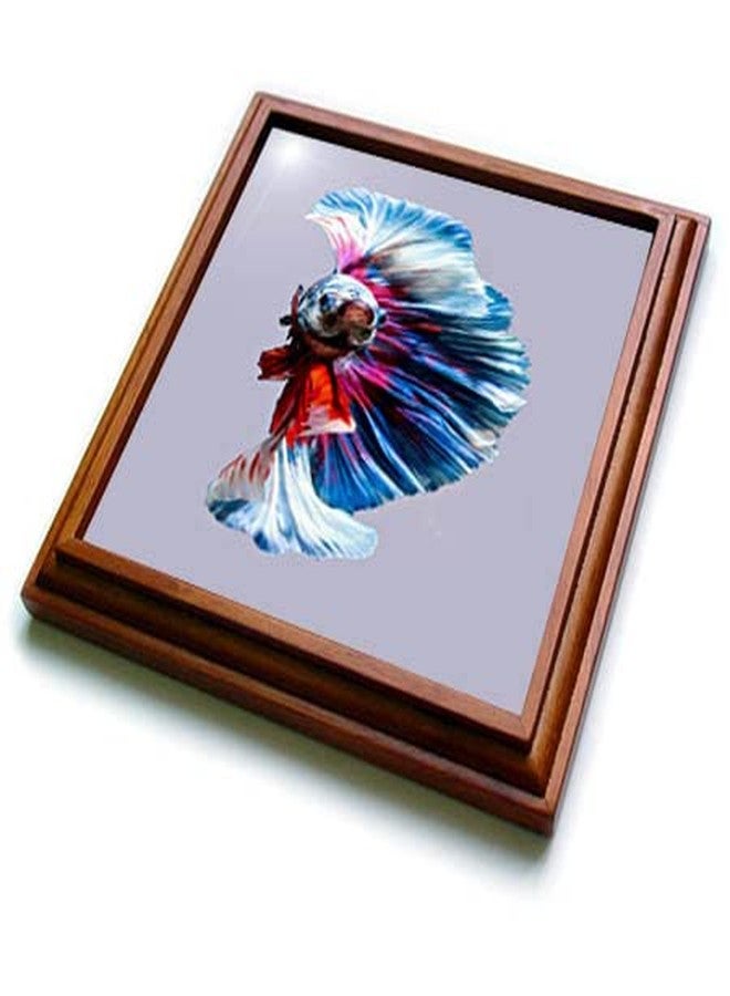 8x8 Trivet with 6x6 Ceramic Tile - Magnificent Betta Splendens Aquarium Fish Vector - Betta Spendens Fish