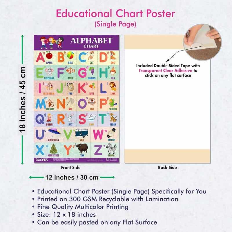 ESCAPER English Alphabets Educational Charts for Kids, Charts for Kids Learning (11.5 x 17.5 inches), Kids Study Material, Kids Learning Books, Educational Posters - Image 3