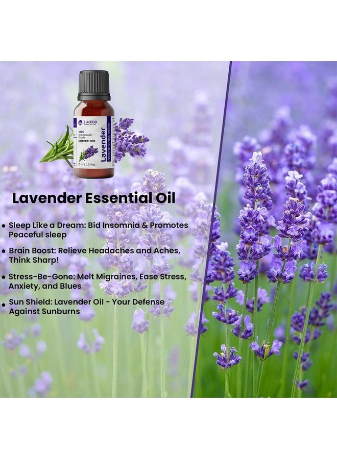 سويكي زيوت عطرية للبشرة والشعر والوجه والعناية بحب الشباب 100% زيت أساسي طبيعي نقي وغير مخفف من الدرجة العلاجية (اللافندر) - Image 2