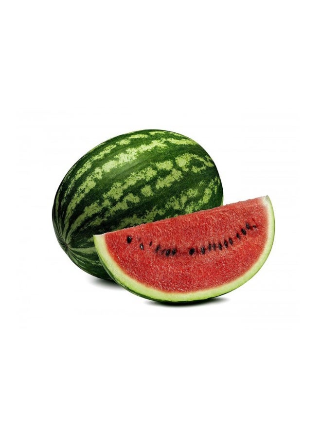 Euro Garden EG Watermelon Sweet Seeds