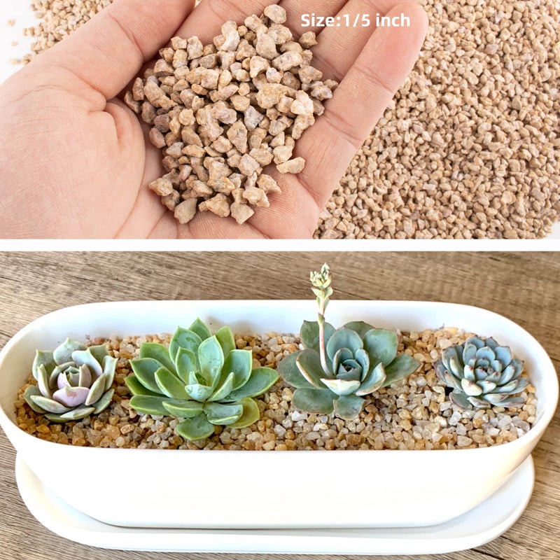 CJGQ 3lb Maifanitum Stones for Succulent Cactus Bonsai Decorative Rocks-Indoor Plants Soil Covers,Horticultural Gravel, Potting Pebbles for Terrarium, Fairy Gardening, Top Dressing - Image 3