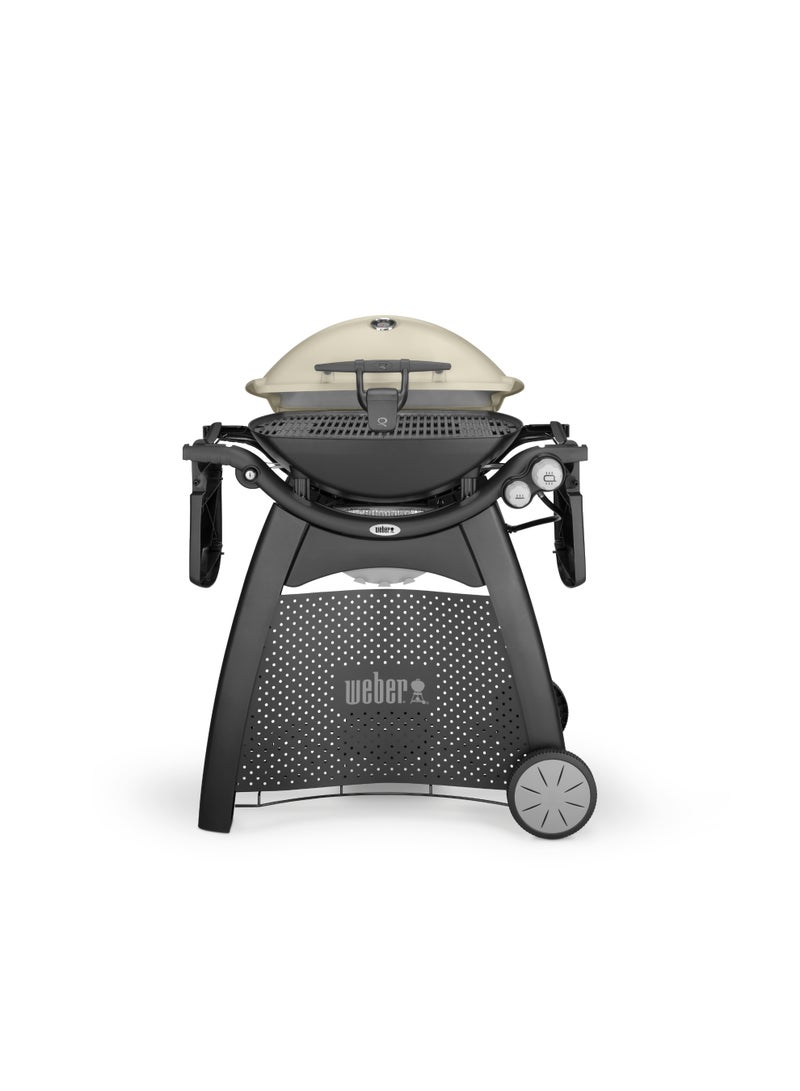 ويبر Q 3200 Station (Titanium) - Image 4