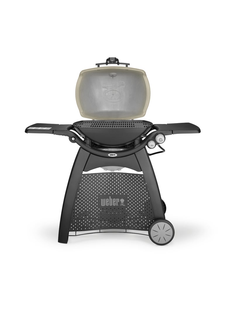 ويبر Q 3200 Station (Titanium) - Image 5