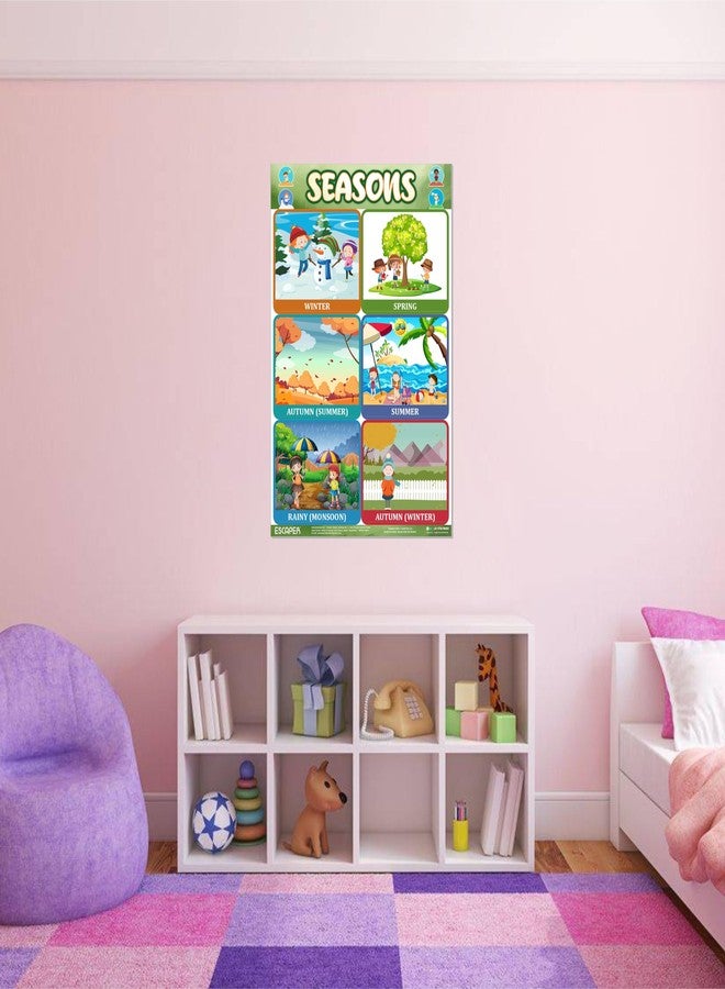 ESCAPER Seasons Charts for Kids Learning (11.5 x 17.5 inches), All Seasons Chart, Kids Study Material, Educational Charts for Kids, Kids Learning Books, Kids Books - Image 2