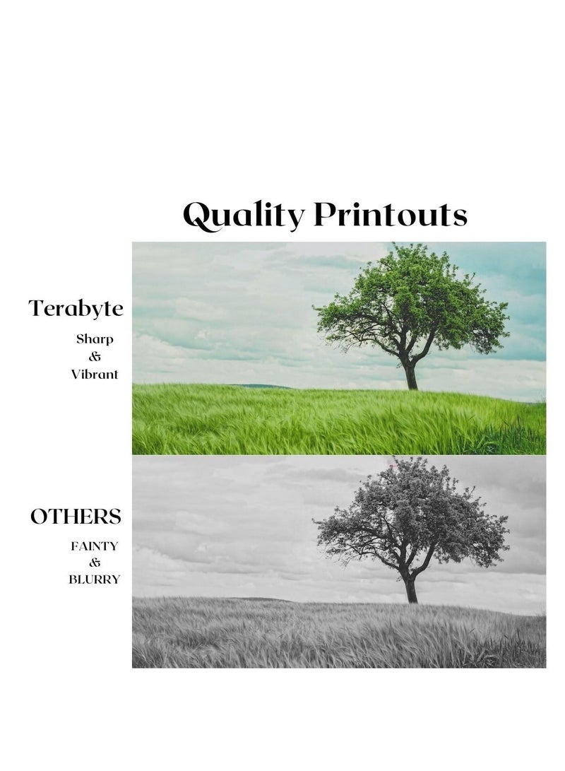 Terabyte XE7120/7125  COMPATIBLE TONER - Image 2