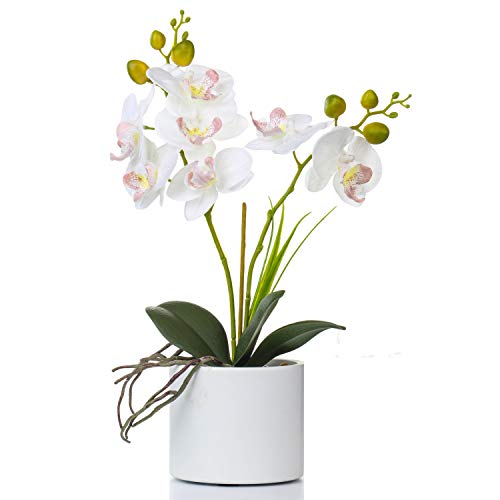 Jusdreen 1 Pcs Ceramic Vase Artificial Orchid Flower Bonsai Vivid Phalaenopsis Flowers Potting for Home Office DcorTable Centerpiece Room Decorations 145 INCH Ceramic PotWhite Orchid
