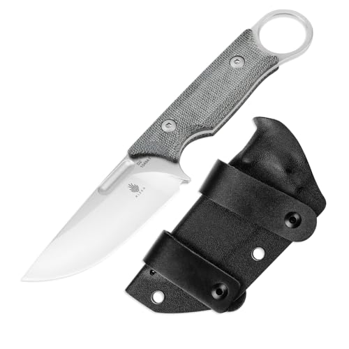 Kizer Cabox Fixed Blade Knife 3.35 Inches D2 Steel Fixed Blade Hunting Knife Micarta Handle with Sheath Pocket Knife1048A1 - Image 1