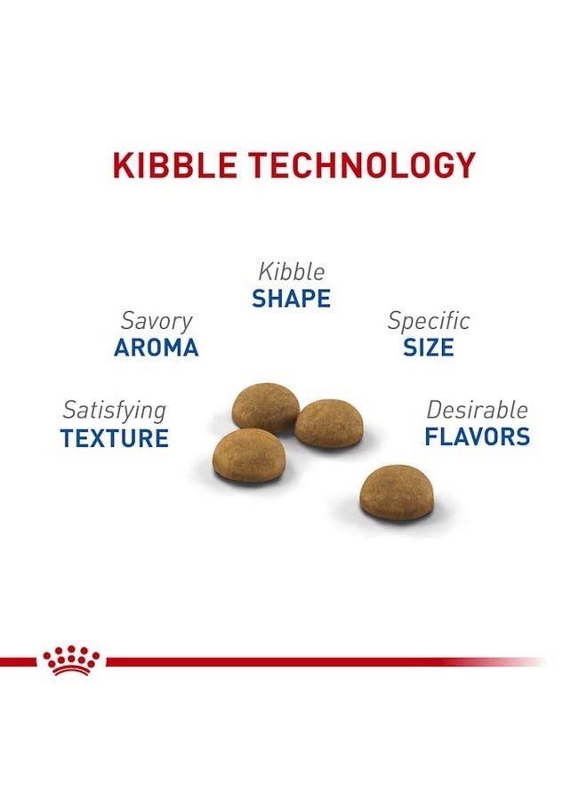 رويال كانين طعام جاف للقطط من رويال كانين للداخل لونغ هير للبالغين، كيس 6 أرطال - Image 2