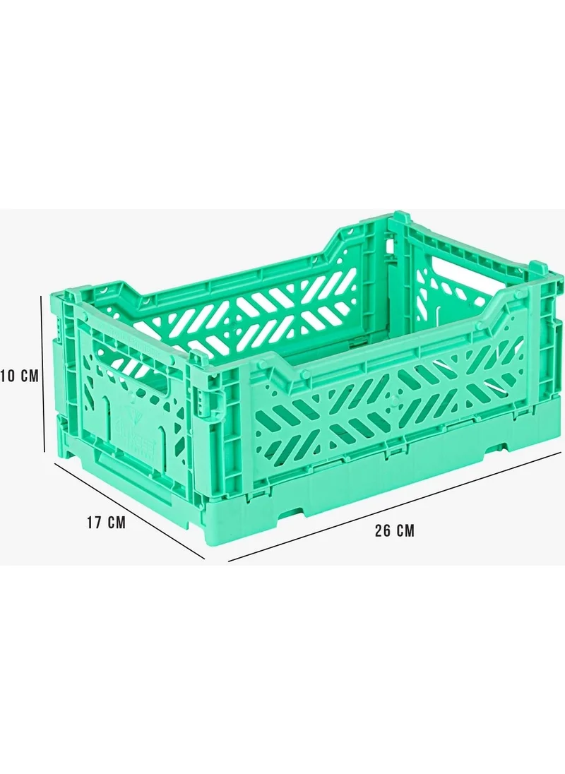 Ayyıldız Aykasa 261710 Minibox Mint Foldable Case